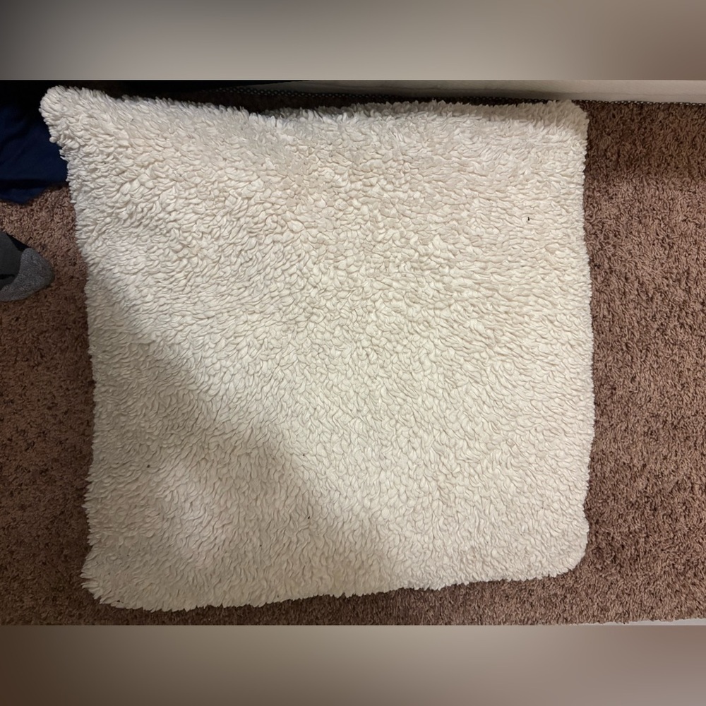 Pottery barn pillow case